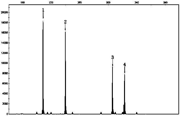 Detection primers for gene mutation related to spinal muscular atrophy and its application