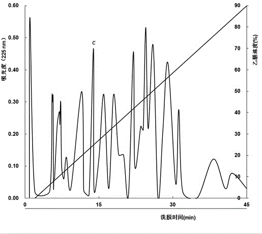 Anti-oxidative seaweed polypeptide and preparation method thereof