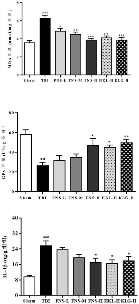 Application of nicotinic glycoside or analogue thereof in preparation of medicine for preventing and treating traumatic brain injury