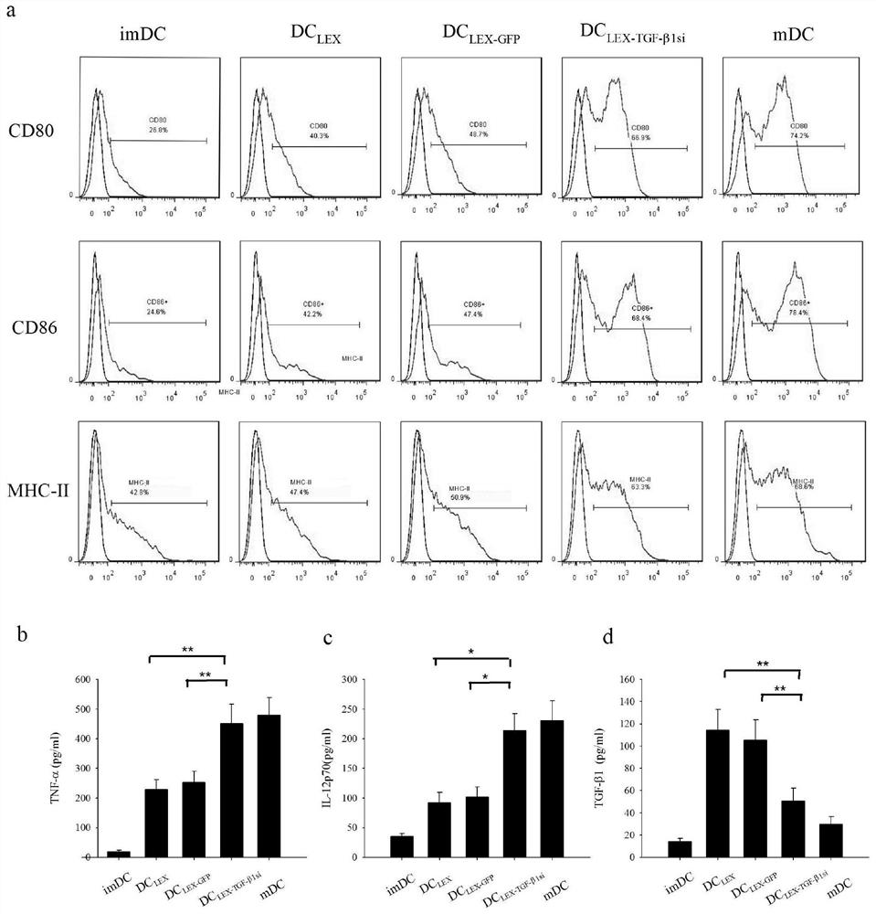 TGF-β1 silenced leukemia cell exosomes modified by interfering sequence and preparation method and application thereof