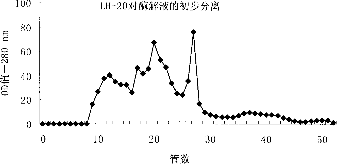 Active peptide and application thereof