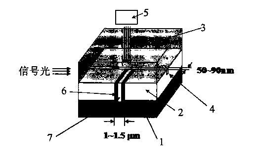 SP (Surface Plasmon) wave signal amplifier and manufacturing method thereof