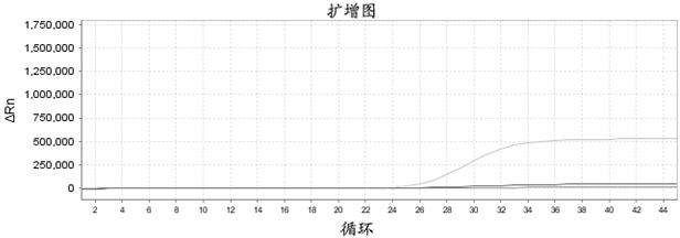 Composition, kit, method for detecting sars-cov-2 and use thereof