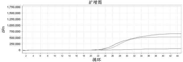 Composition, kit, method for detecting sars-cov-2 and use thereof