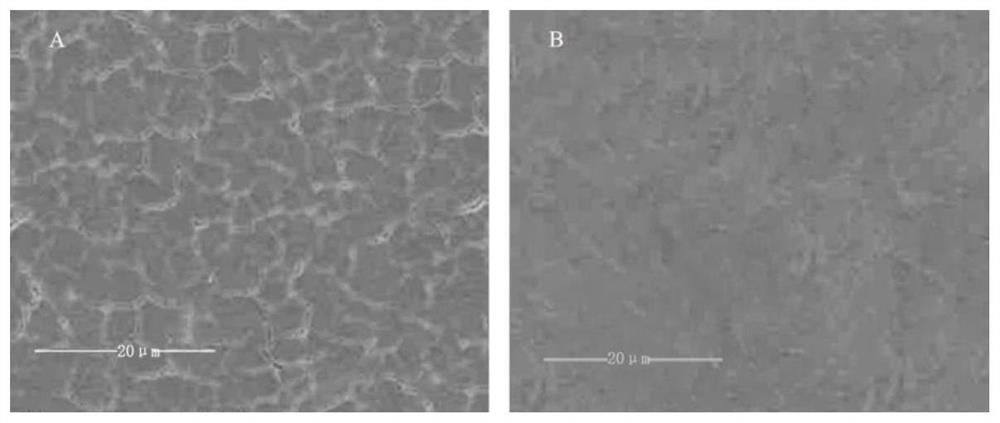 Hydrophobic decorative base paper and preparation method thereof