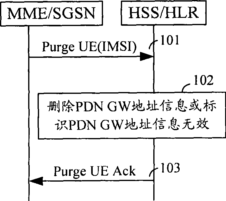Method and system for reserving packet data gateway address information
