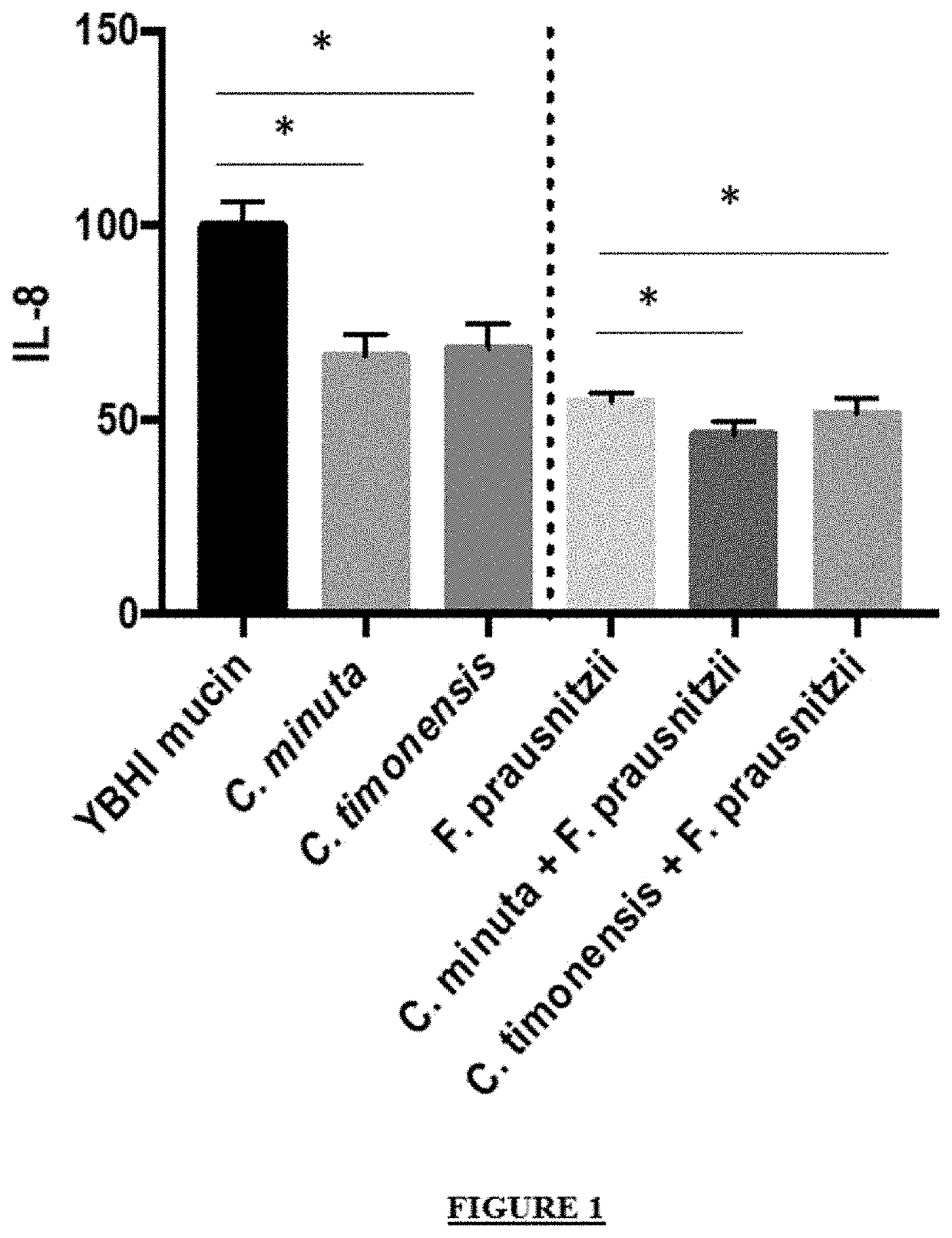 Faecalibacterium prausnitzii and christensenella bacterial strains for the treatment and prevention of bowel inflammation