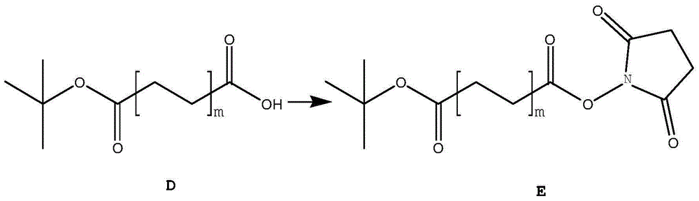 Preparation method and application of fatty dioic acid derivative