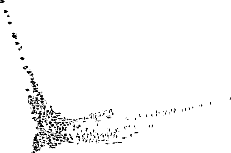 Plant leaf identification method based on manifold learning