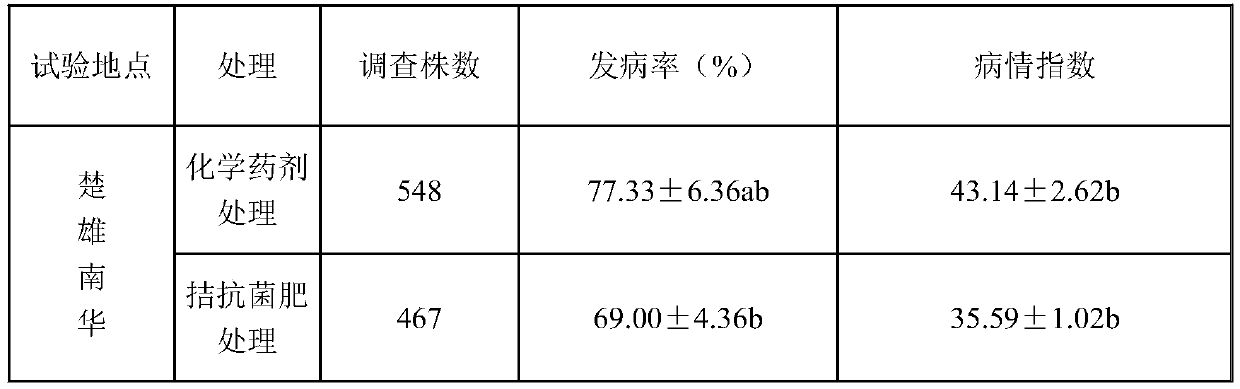 Method for inhibiting tobacco black shank by combining bacterial fertilizer with fermentation bacterial solution