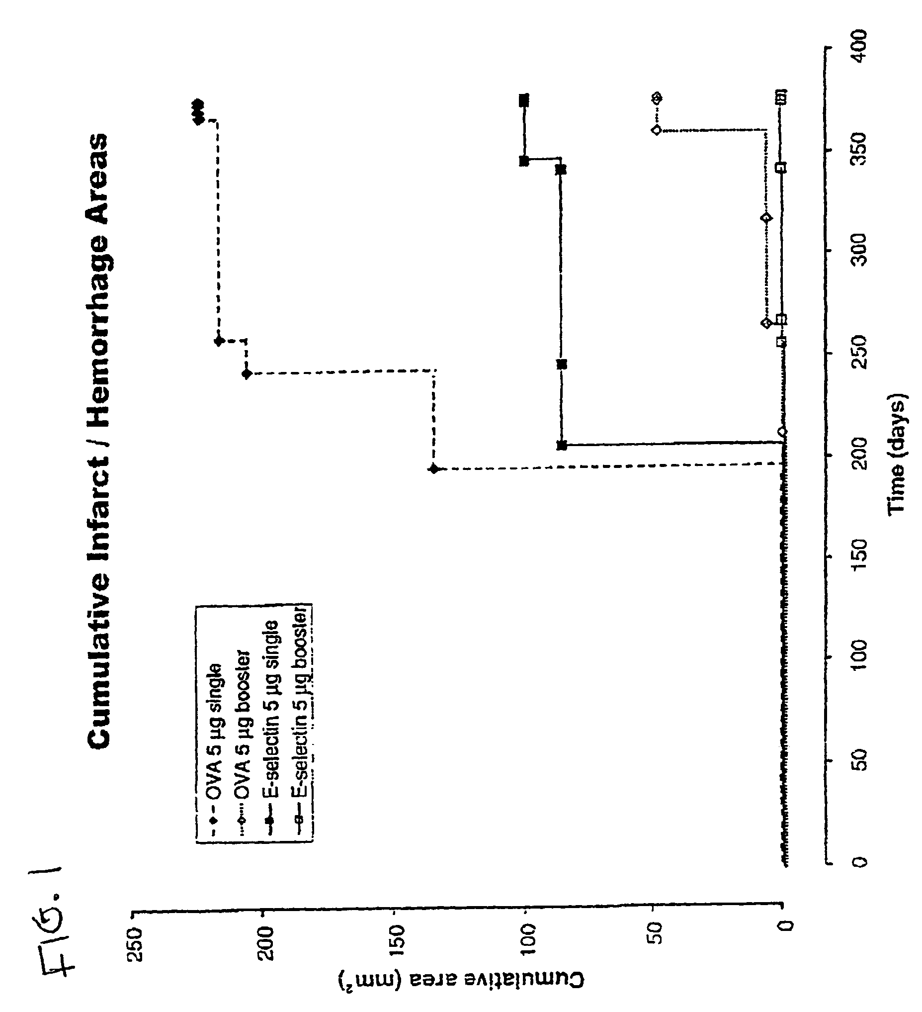 Methods for preventing strokes by inducing tolerance to e-selectin