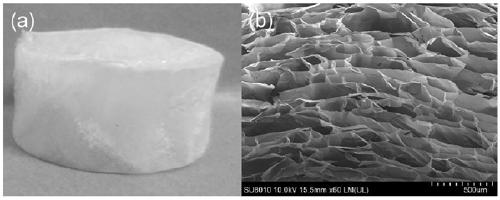 Preparation method of functional cellulose aerogel composite material loaded with TiO2 nanoparticles