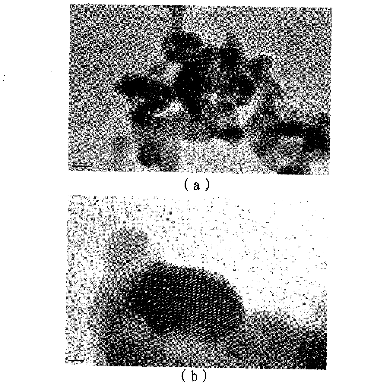 Tellurium nano-particles and preparation method for same