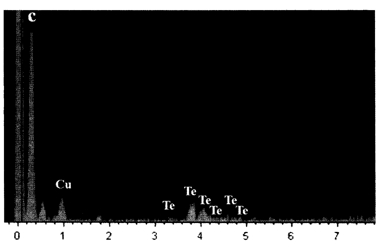 Tellurium nano-particles and preparation method for same