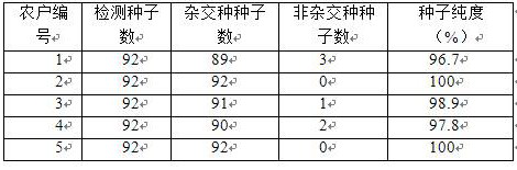 A primer for detecting the purity of Jinxia No. 3 Chinese cabbage seeds and its application