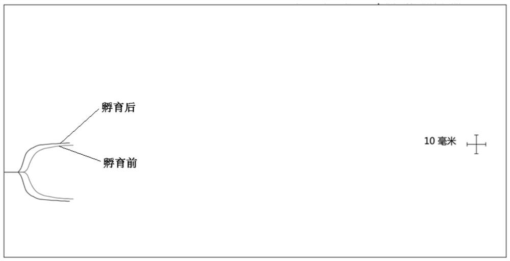 A kind of kaolin reagent quality control product and its preparation method and application