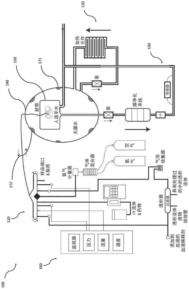 Incubation system for liquid-based incubation of preterm infants