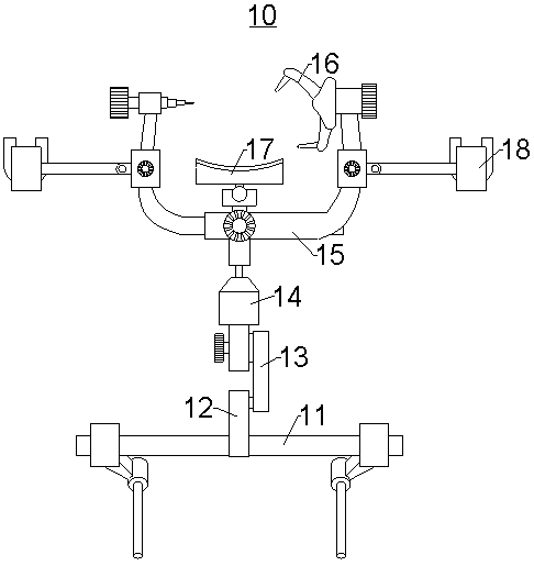 Head immobilization device for brain surgery