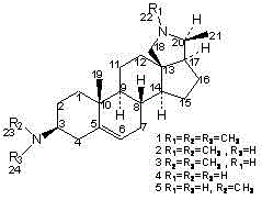 Holarrhine alkaloid derivative and application of holarrhine alkaloid derivative