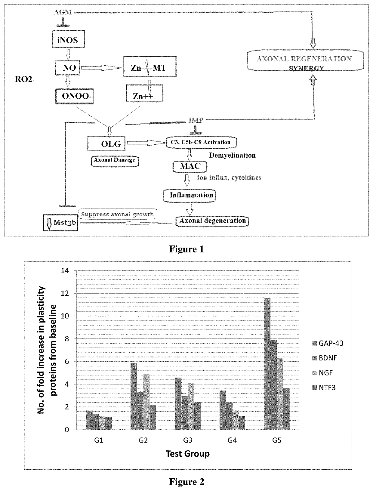 Synergistic nutritional compositions for promoting axonal regeneration