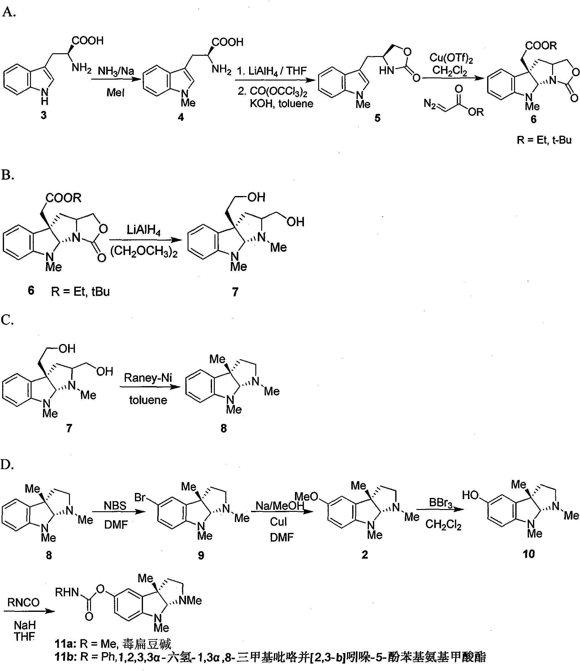 Synthesis for natural medicament physostigmine for resisting senile dementia disease and phenylaminoformic acid ester phenserine