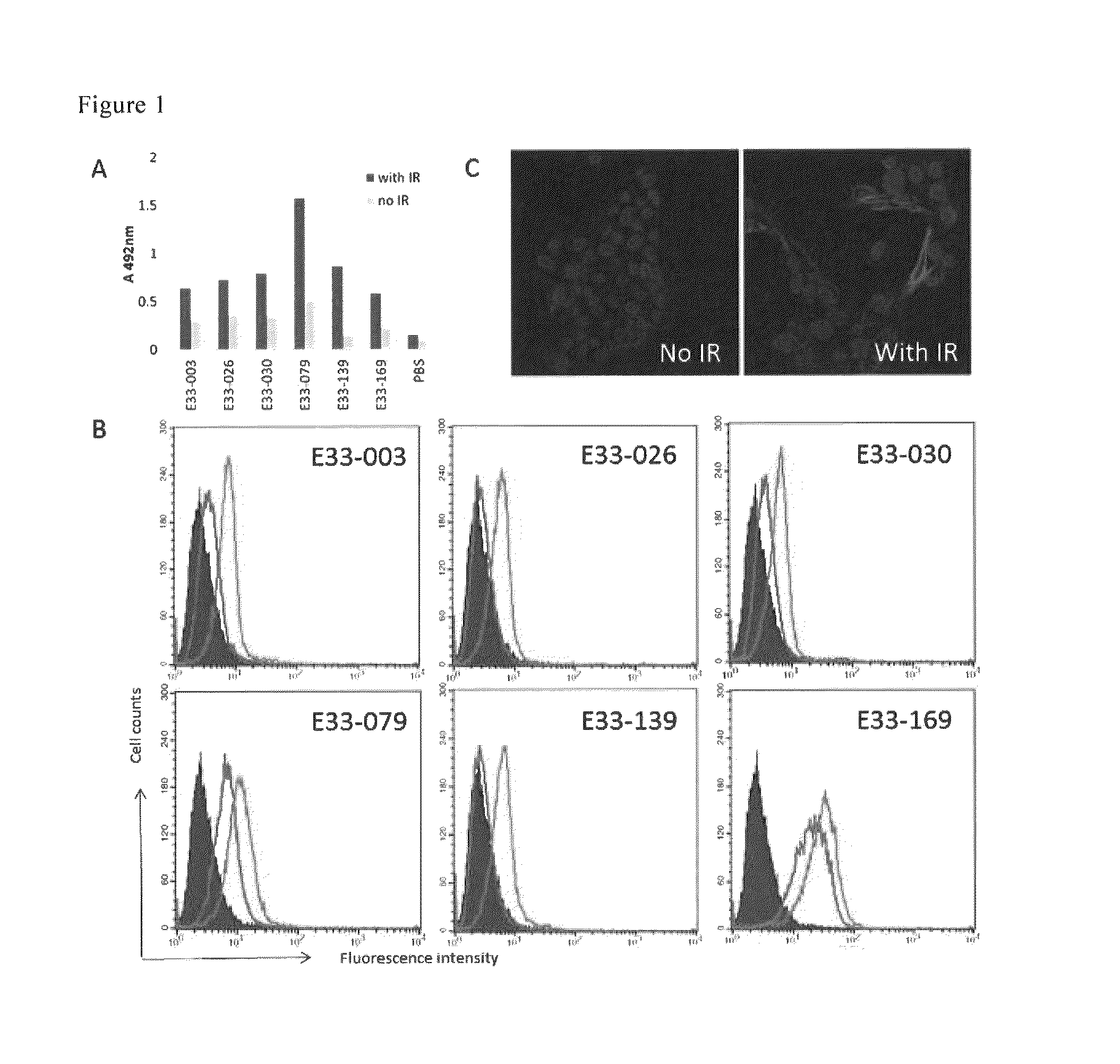 Antibody for detecting DNA damage in cells utilizing cell membrane surface antigen Ly6D