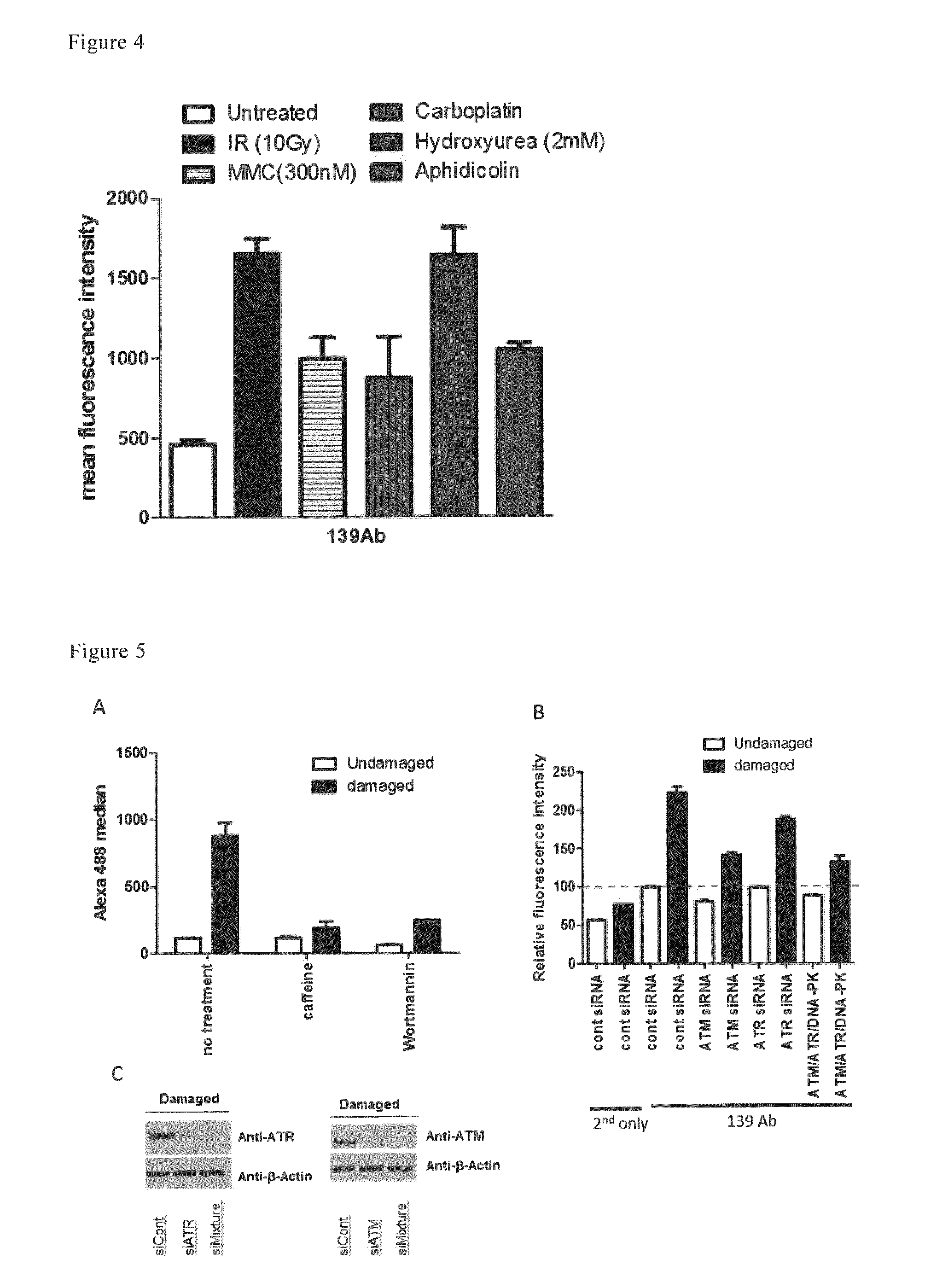 Antibody for detecting DNA damage in cells utilizing cell membrane surface antigen Ly6D