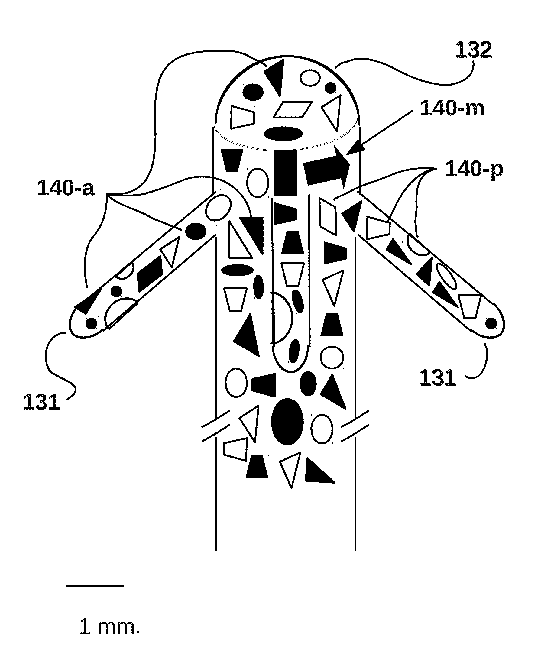Animal and plant cell electric stimulator with randomized spatial distribution of electrodes for both current injection and for electric field shaping