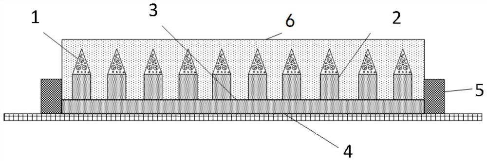 Two-stage type microneedle array patch capable of simultaneously realizing BCG vaccine inoculation and diagnosis, and preparation method thereof