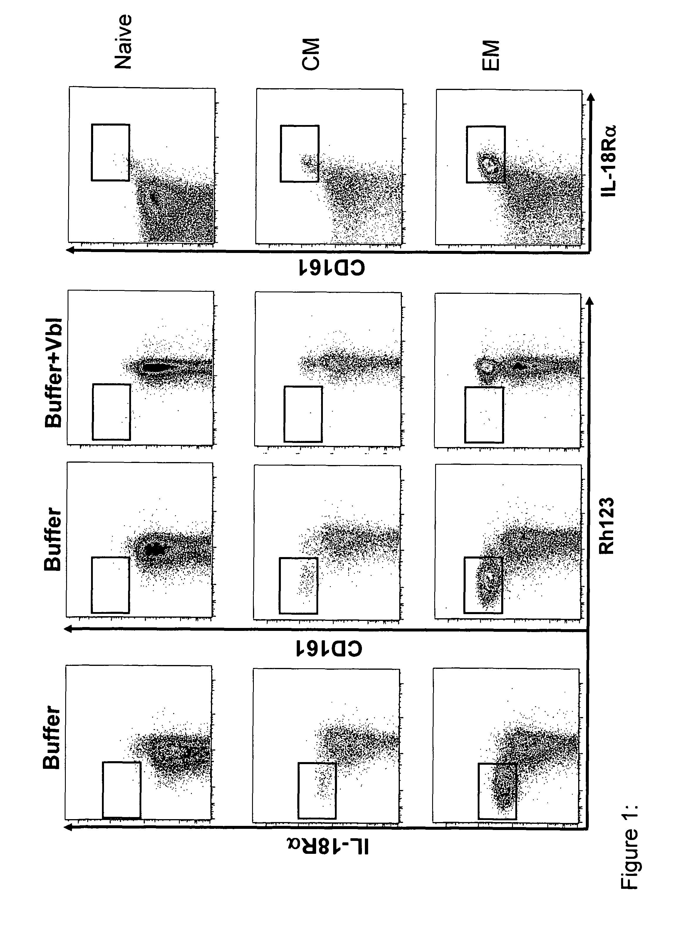 Identification of cd8+ t cells that are cd161hi and/or il18r (ALPHA) hi and have rapid drug efflux capacity