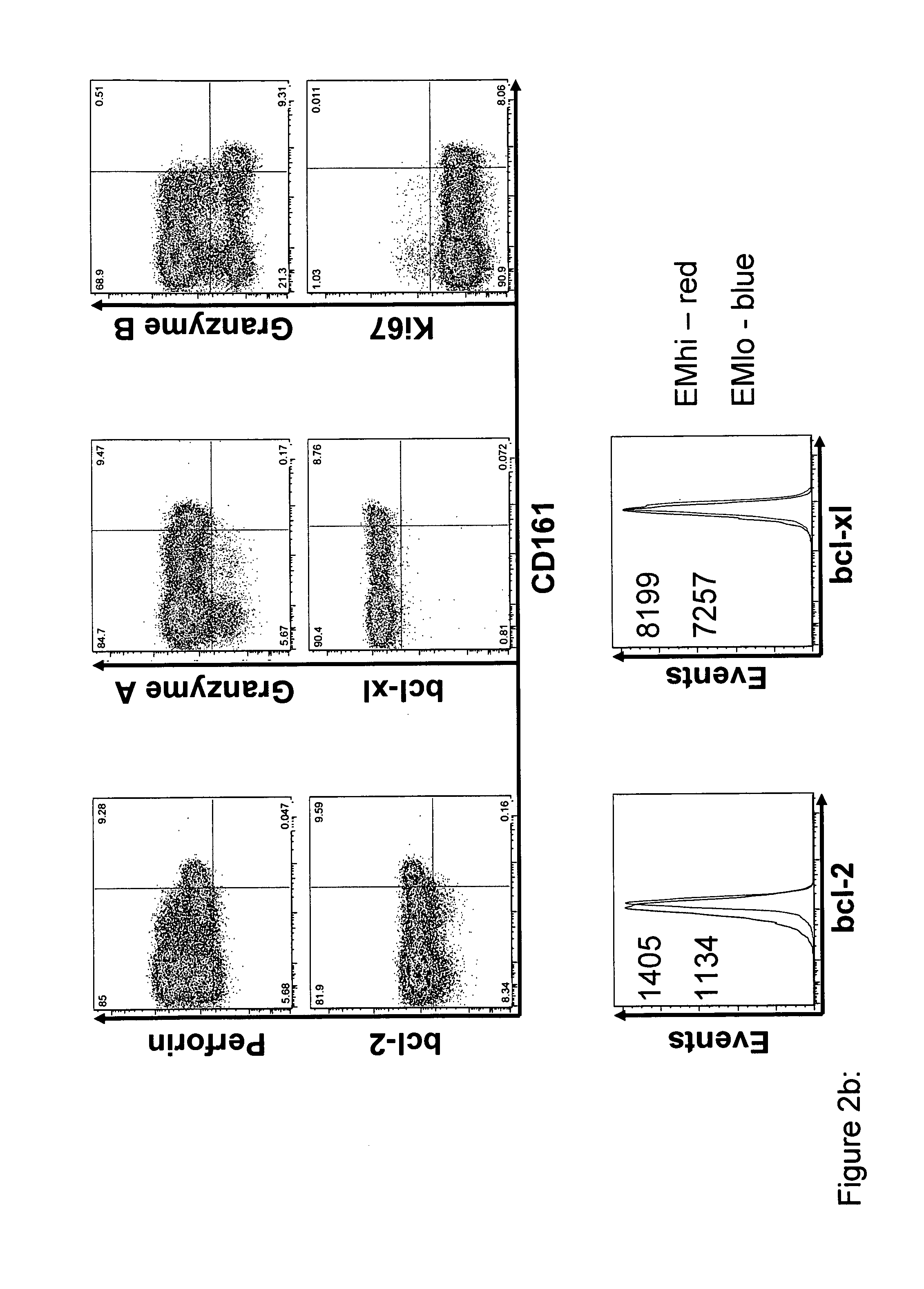 Identification of cd8+ t cells that are cd161hi and/or il18r (ALPHA) hi and have rapid drug efflux capacity