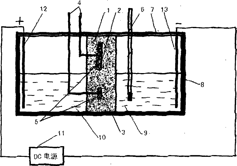 Method for rapidly measuring reinforcing steel tarnishing criticality chlorine ion concentration