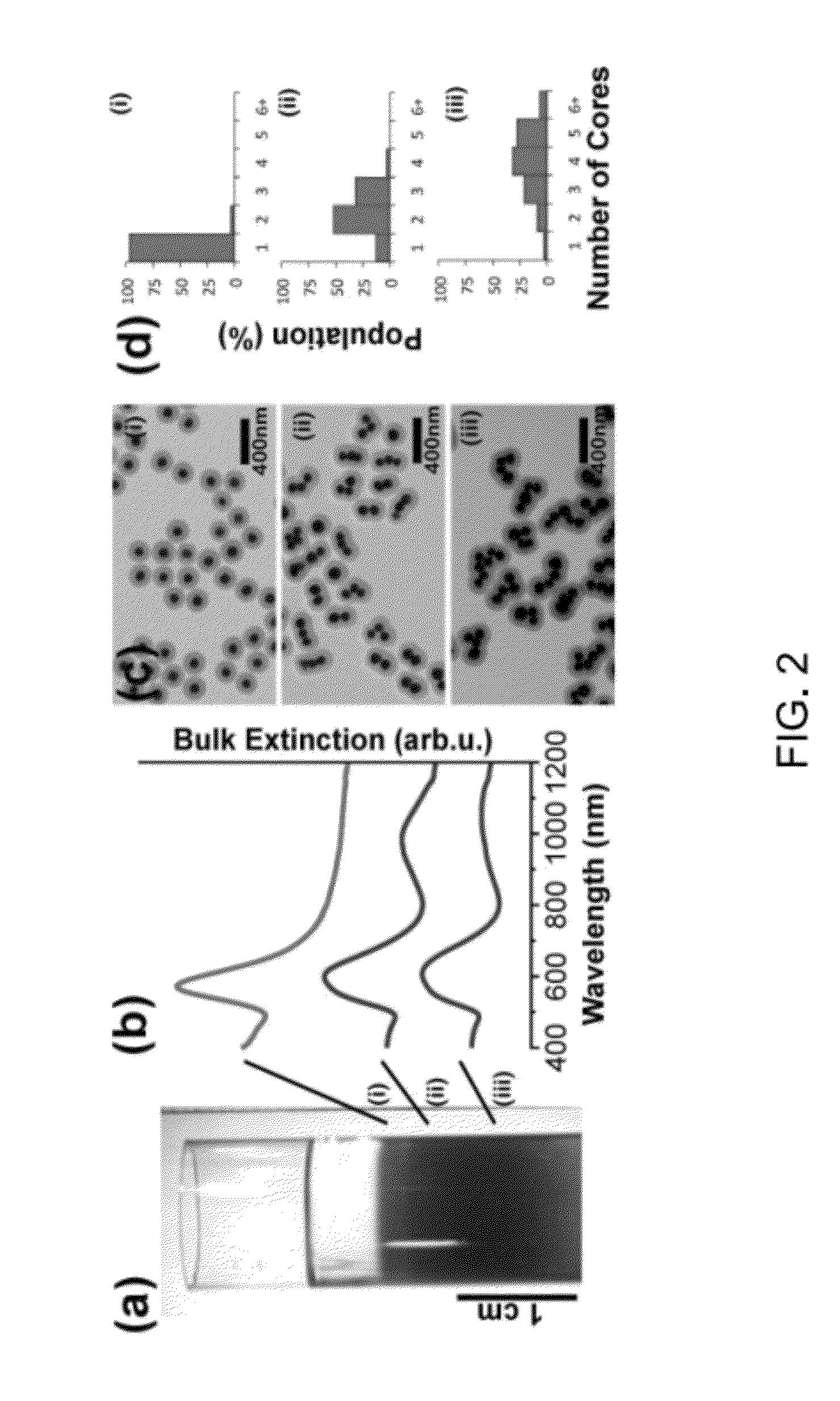 Sorting process of nanoparticles and applications of same