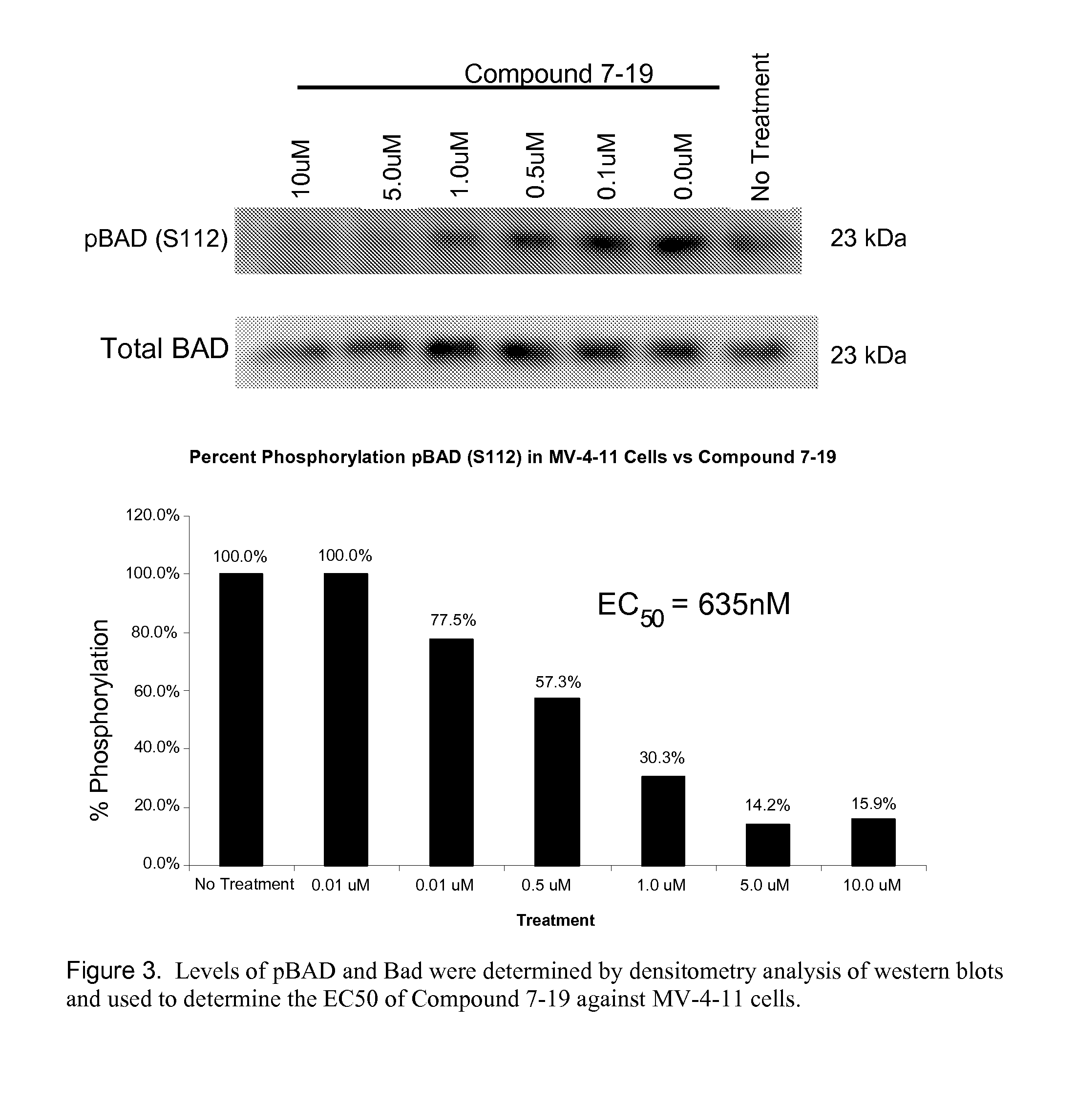 Imidazo[1,2-beta]pyridazine and pyrazolo[1,5-alpha]pyrimidine derivatives and their use as protein kinase inhibitors
