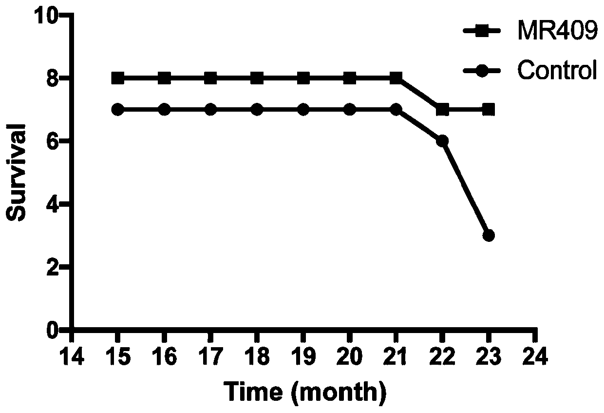 Application of growth hormone-releasing hormone agonist GHRH-A in preparation of anti-aging drug