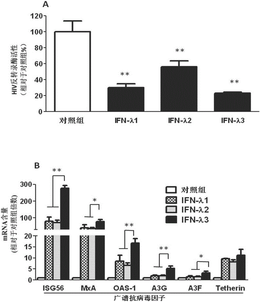 Application of IFN (Interferon)-lambda3 to preparation of medicine for preventing or treating acquired immunodeficiency syndrome