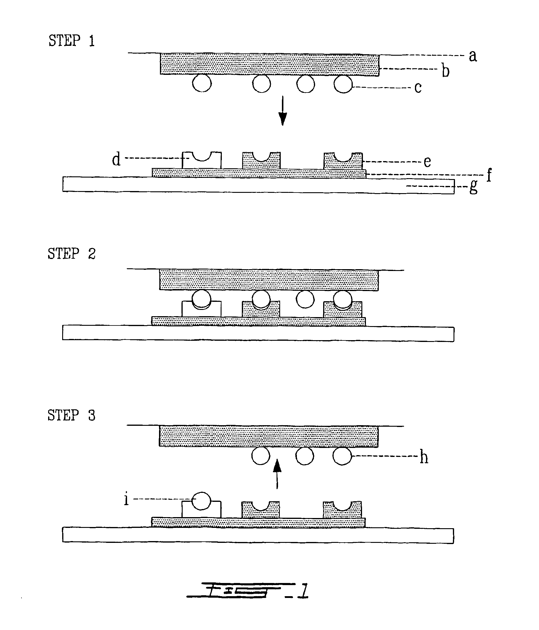 Polyubiquitin based hydrogel and uses thereof