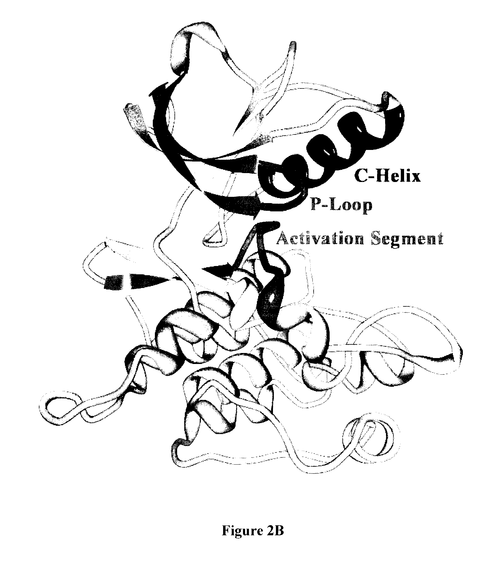 Methods and Compositions for Treating Neuroblastoma