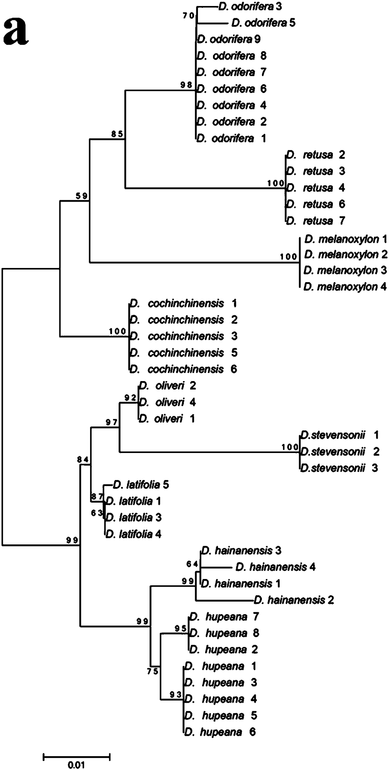 A kind of dna combined barcode for identifying 9 kinds of Dalbergia wood and its identification method and application