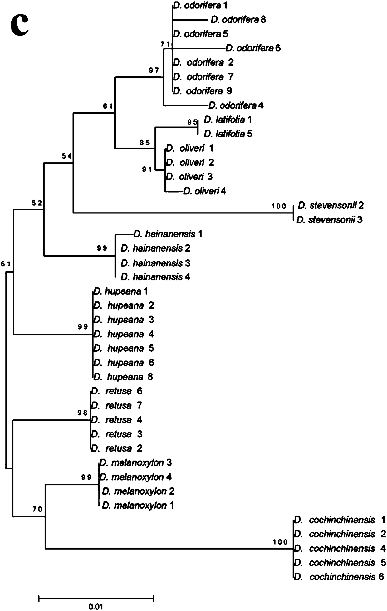 A kind of dna combined barcode for identifying 9 kinds of Dalbergia wood and its identification method and application