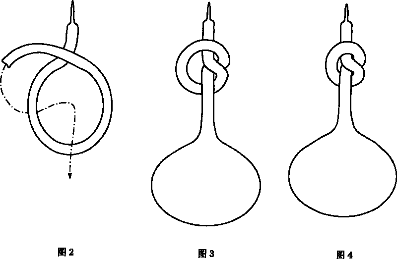 Cultivation of buttoned calabash