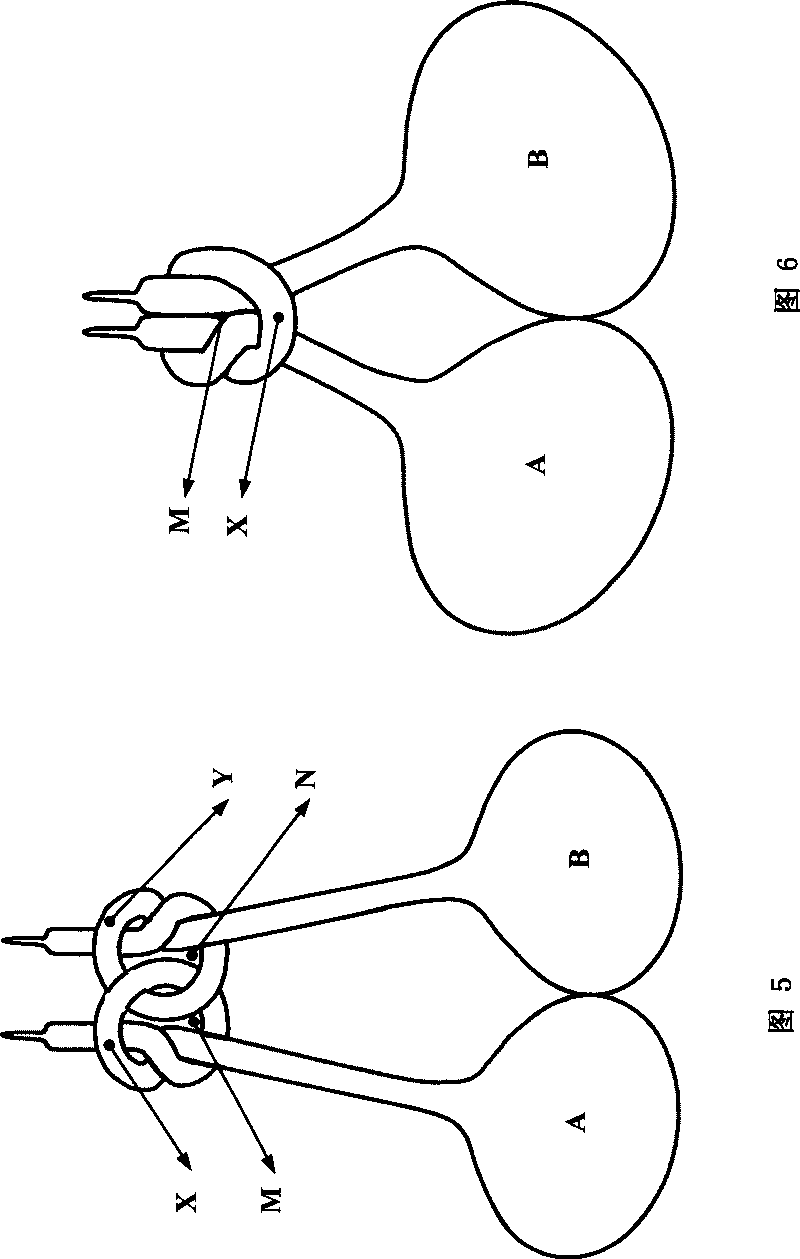 Cultivation of buttoned calabash