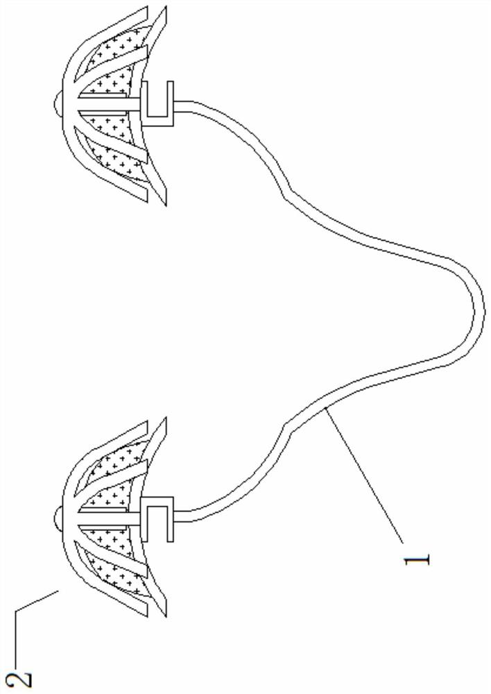 Nasal cavity wetting, filtering and dosing device