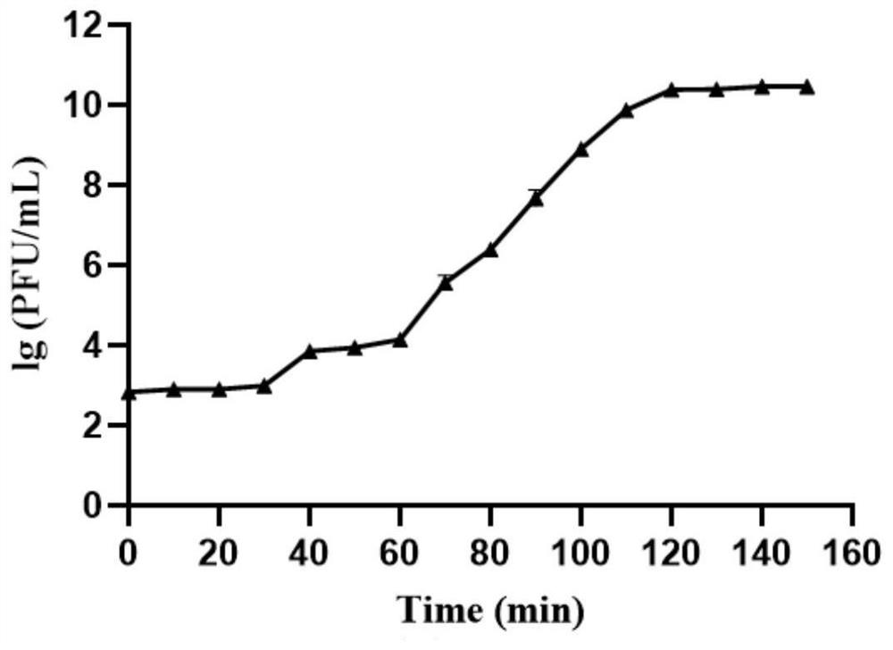 A Salmonella Phage with Wide Lysis Spectrum and Its Application