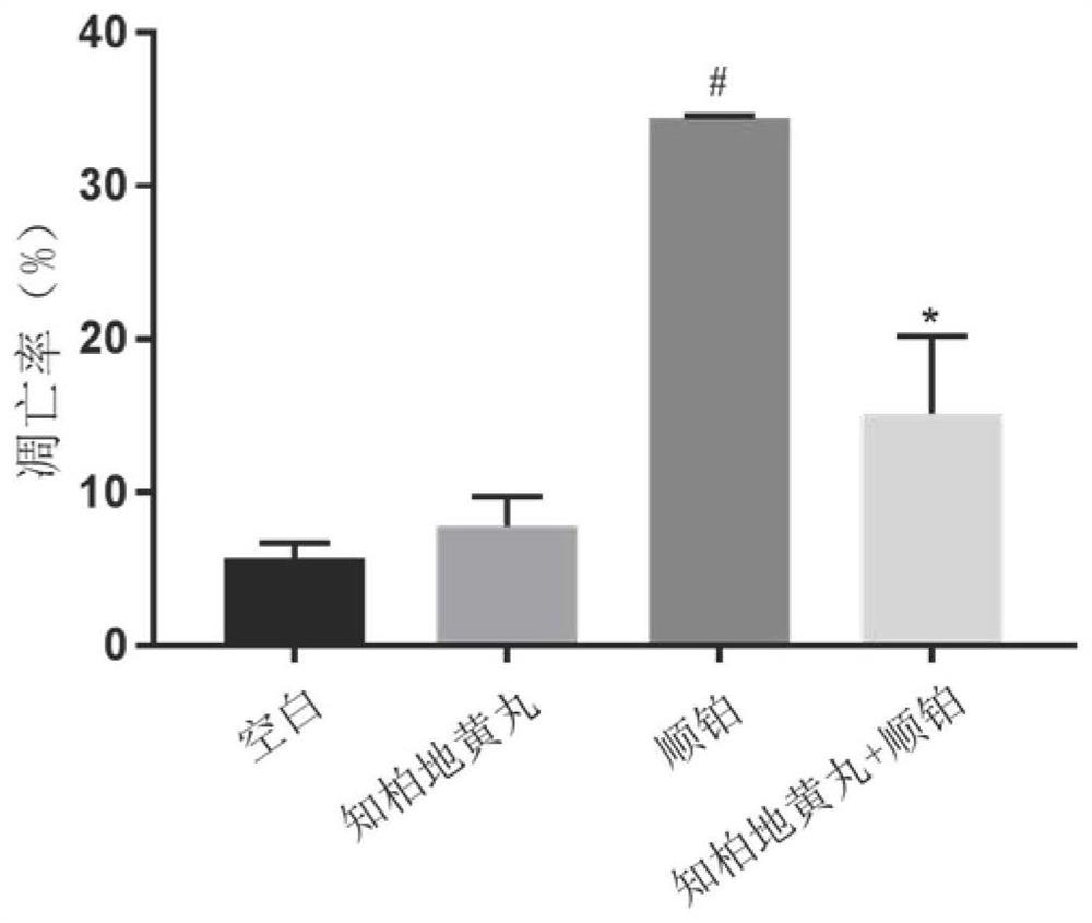 Application of Zhibai Dihuang pill as or in preparation of medicine for preventing and treating cisplatin acute kidney injury