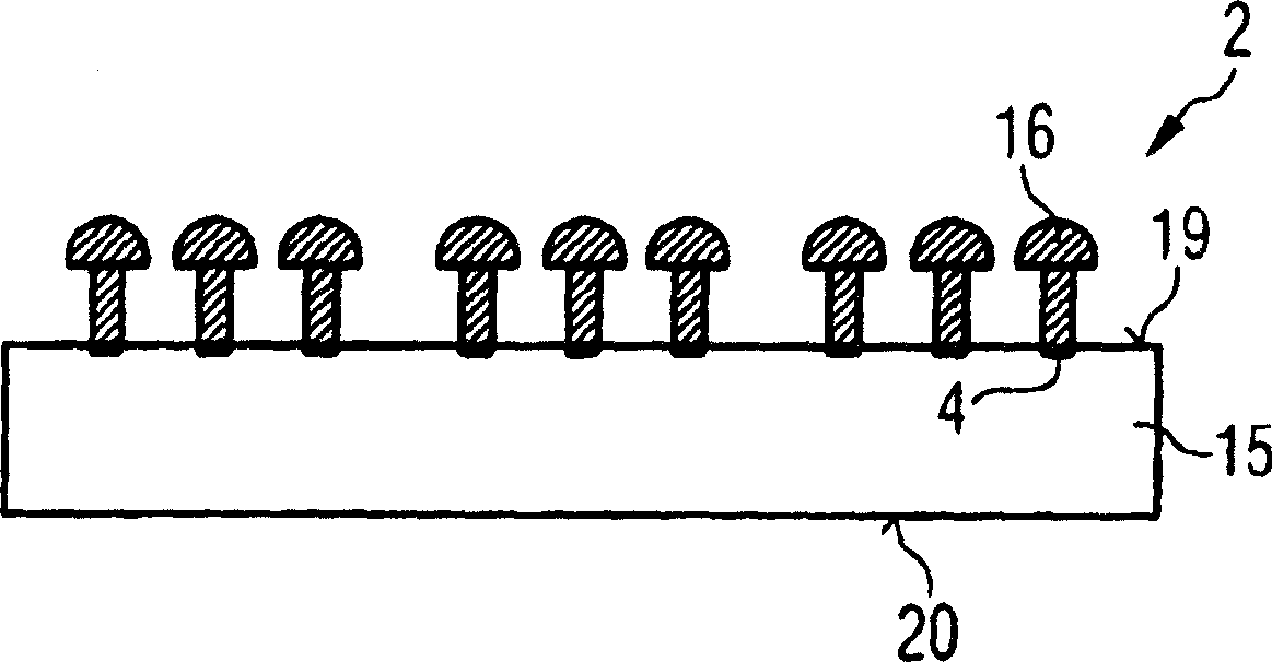 Semiconductor package with contact support layer and method to produce the package