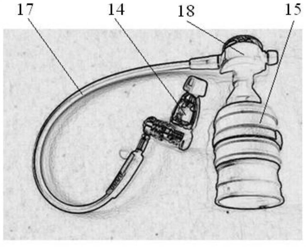 An underwater respiratory support system for Bama miniature pigs