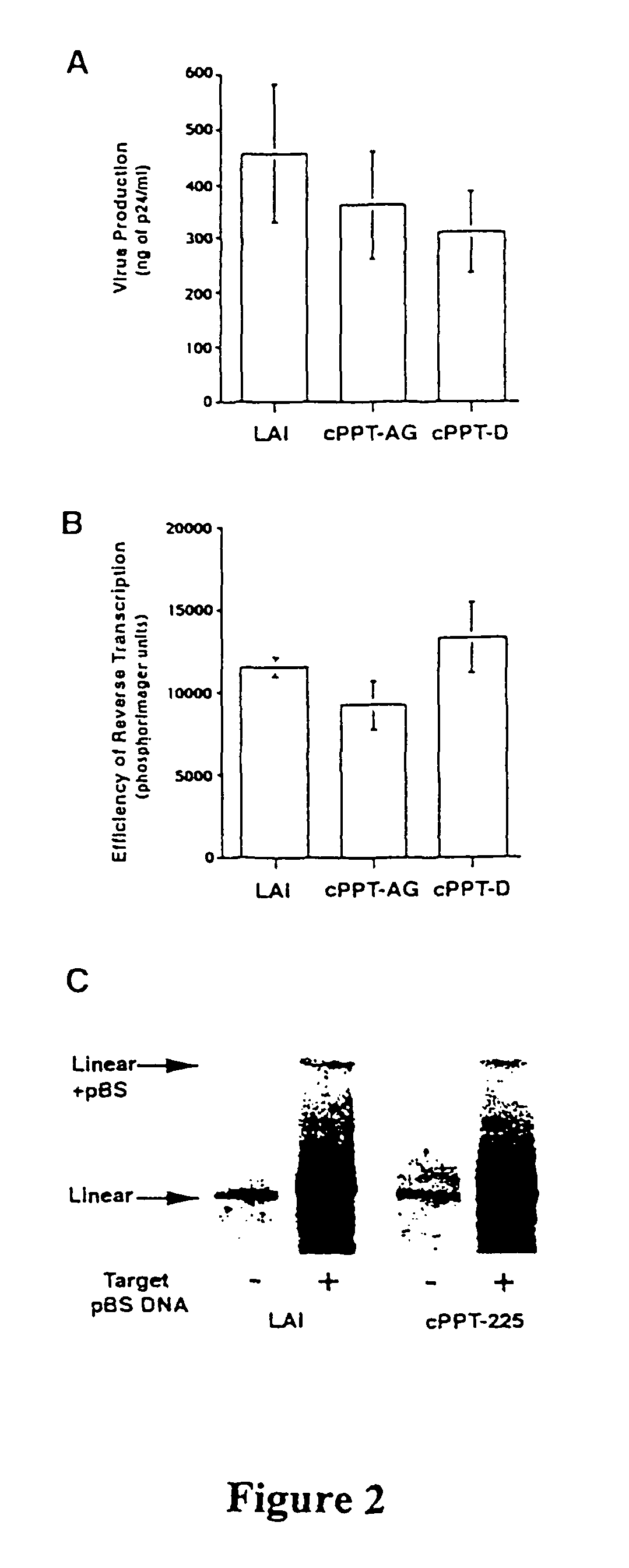 Lentiviral triplex DNA, and vectors and recombinant cells containing lentiviral triplex DNA