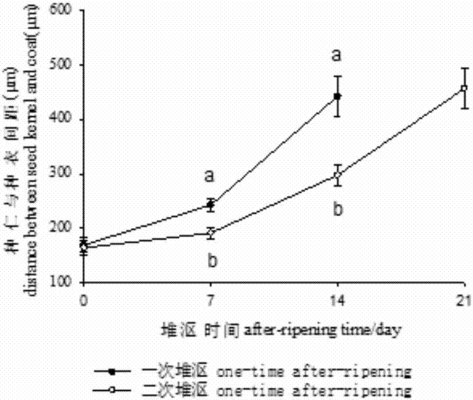 Method for stack retting after-ripening of Chinese torreya seeds