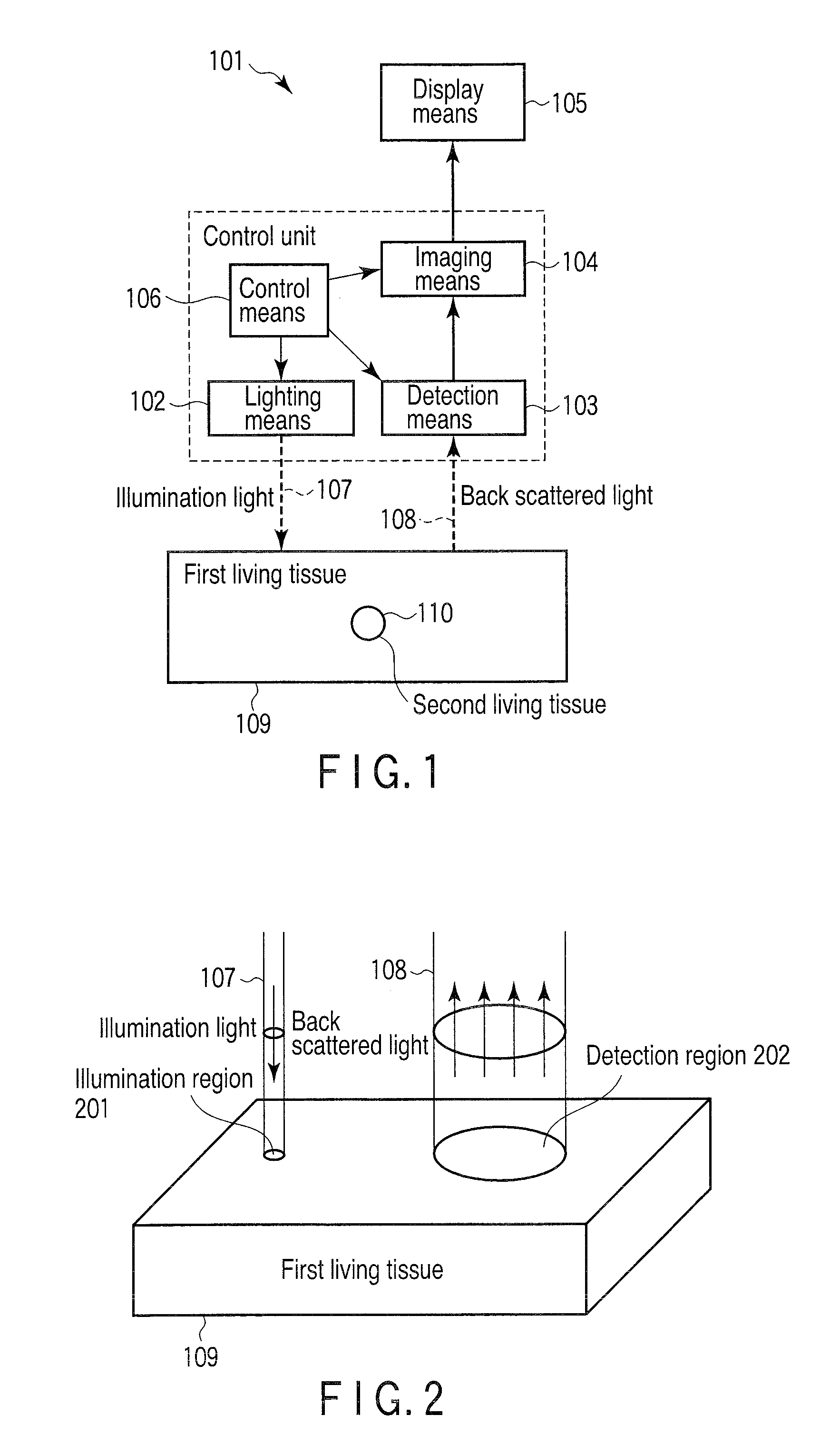 Internal Observation Device for Object having Light Scattering Properties, Internal Body Observation Device, Endoscope for Internal Observation and Internal Observation Method